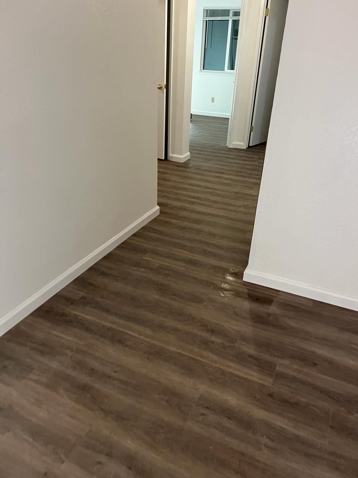 Our Gallery