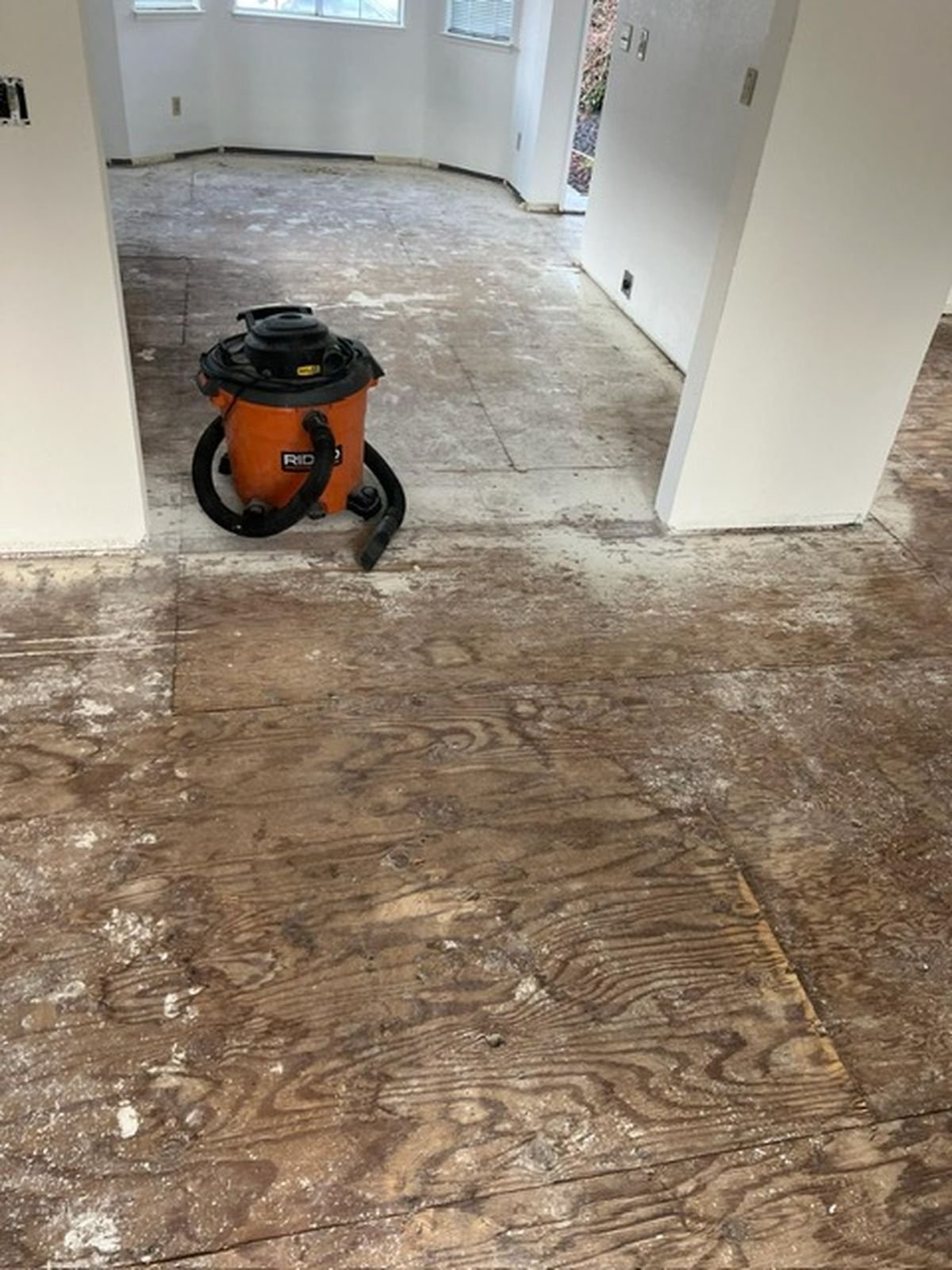 Our Gallery